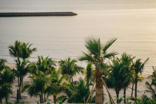 Quelle croisière offre des excursions pour explorer les forêts tropicales du Costa Rica?